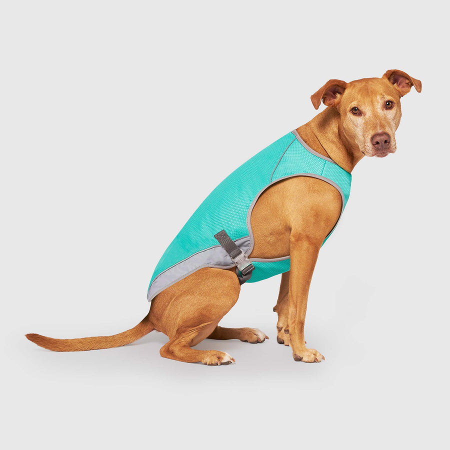 Canada Pooch: Chill Seeker Cooling Vest Wet Reveal