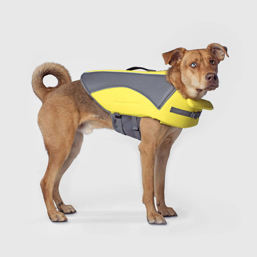Wave Rider Life Jacket | Canada Pooch
